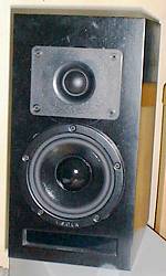 Logo speaker