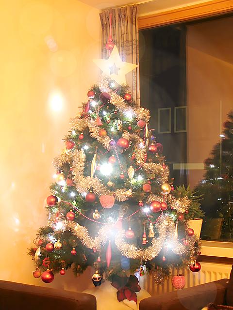 Christmas tree with white LEDs